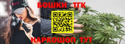 гашик Сланцы