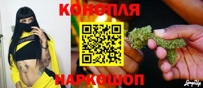 гашик Сланцы