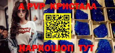 гашик Сланцы