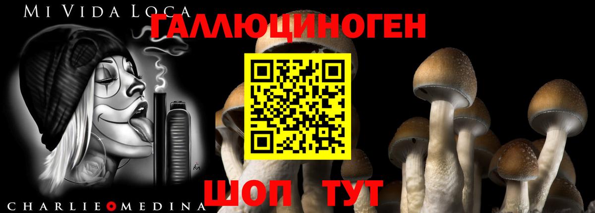 Галлюциногенные грибы Psilocybe Мыски